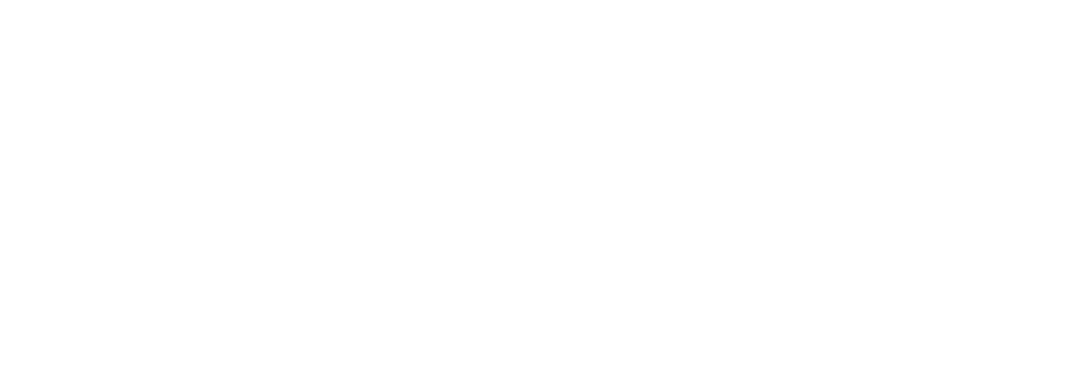 煤质颗粒活性炭
